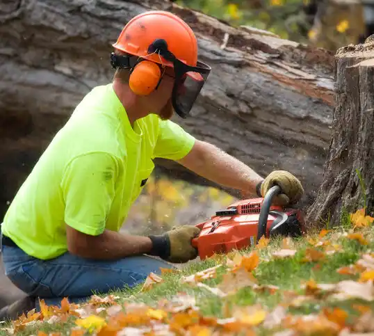 tree services Merrydale